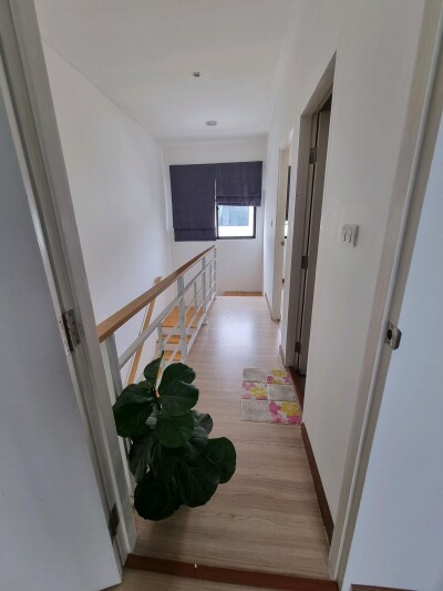 บ้านกลางเมือง กัลปพฤกษ์-10