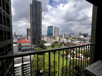 โนเบิล โซโล / Noble Solo-11