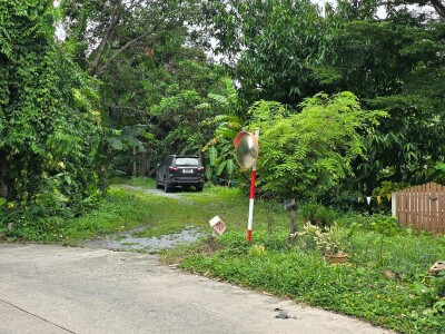 🌿✨ ปล่อยเช่าพื้นที่ร้านอาหาร / คาเฟ่ ✨🌿