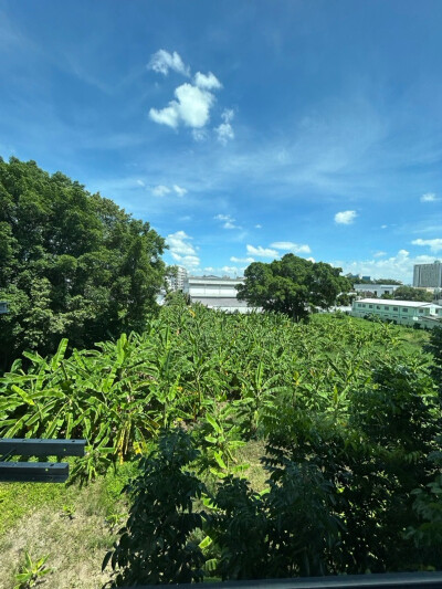 ออริจิ้น เพลย์ ศรีอุดม สเตชั่น / Origin Play Sri Udom Station-8