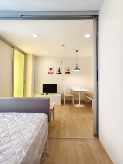 เดอะ คัลเลอร์รี่ วิวิด / The Colory Vivid-7