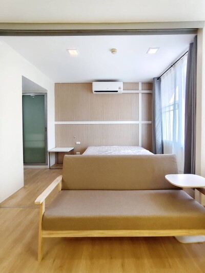 เดอะ คัลเลอร์รี่ วิวิด / The Colory Vivid-4