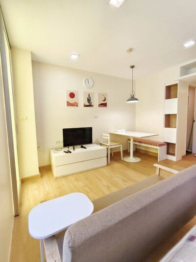 เดอะ คัลเลอร์รี่ วิวิด / The Colory Vivid-1