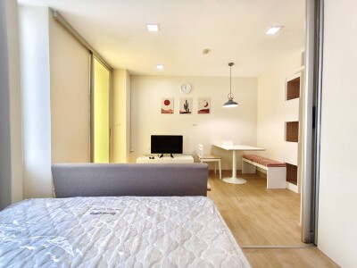 เดอะ คัลเลอร์รี่ วิวิด / The Colory Vivid-6