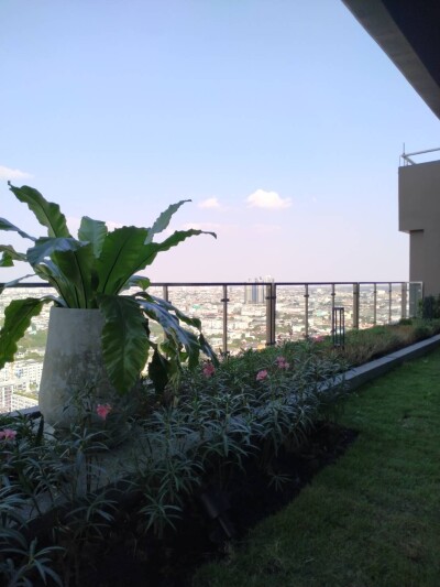 ศุภาลัย เวอเรนด้า สุขุมวิท 117 / Supalai Veranda Sukhumvit 117