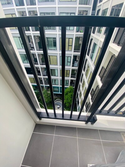 เคฟ ซีด เกษตร / Kave Seed Kaset-10