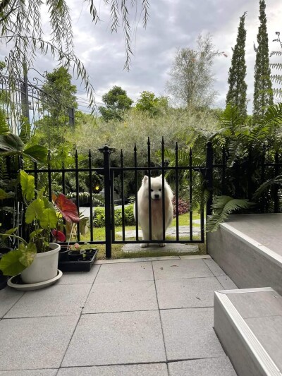 ไลฟ์ บางกอก บูเลอวาร์ด ราชพฤกษ์ - รัตนาธิเบศร์ / พื้นที่ใช้สอย 191 ตรม.-14