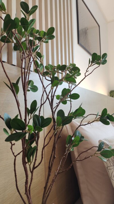 อัปเดตล่าสุด 21/8/67 :  ยู ดีไลท์ 2 บางซื่อ สเตชั่น /  27 ตร.ม.  ชั้น 30-10