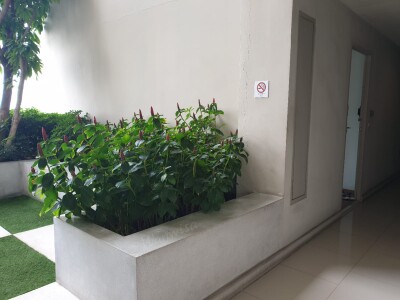 ไอดีโอ บลูโคฟ สุขุมวิท / Ideo Blucove Sukhumvit-8