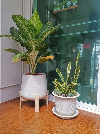 วิรัลพัชร เฉลิมพระเกียรติ 48 / 205 ตรม.-24