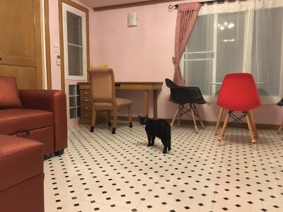 บ้านบางขุนนนท์ ริมน้ำ / 55 ตารางเมตร-5