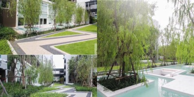 แชปเตอร์วัน ชายน์ บางโพ / 22.45 ตร.ม. ชั้น 11-13