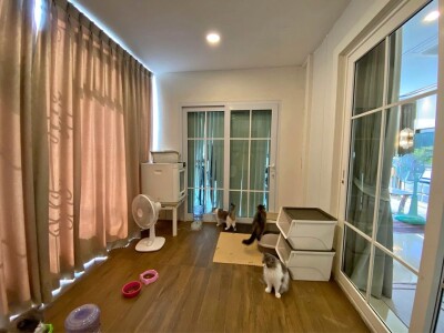 แกรนดิโอ ลาดพร้าว - เกษตรนวมินทร์ /  264 ตารางเมตร-6