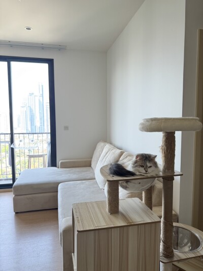 มารุ เอกมัย 2 /35 ตรม. ชั้น: 21-1