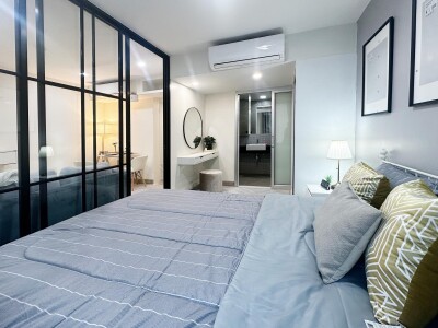 เดอะ คัลเลอร์รี่ วิวิด / The Colory Vivid-2