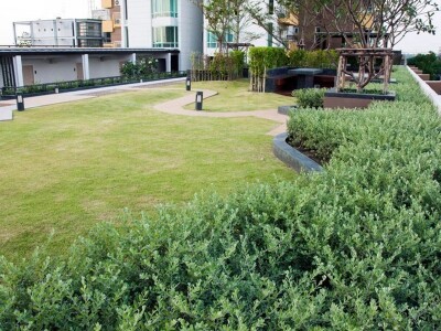 เอ็มโซไซตี้ คอนโดมิเนียม / M Society Condominium-21