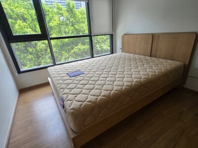 เดอะ ไลน์ ไวบ์ / The Line Vibe