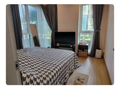 เดอะ ไลท์ นิวยอร์ค / The Light New York