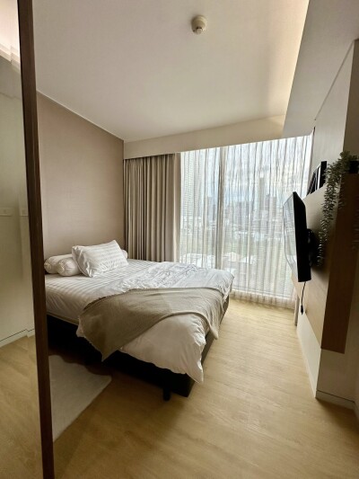 ไซมิส เทอร์ตี้ ไนน์ / Siamese 39-19