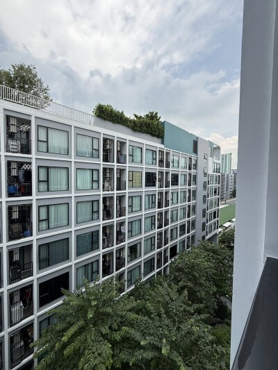 เคฟ ซีด เกษตร / Kave Seed Kaset-8