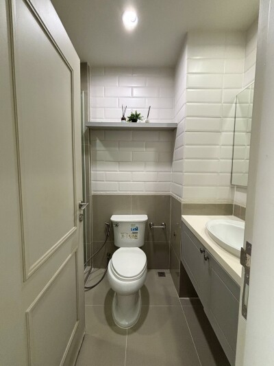 ดิ เอดิเตอร์ / The Editor