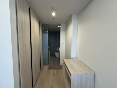 ไซมิส ราชครู / Siamese Ratchakru-5