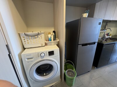 ไซมิส ราชครู / Siamese Ratchakru-8