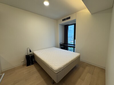 ไซมิส ราชครู / Siamese Ratchakru-4