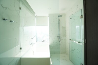 ไซมิส เอ๊กซ์คลูซีพ ควีนส์ / Siamese Exclusive Queens