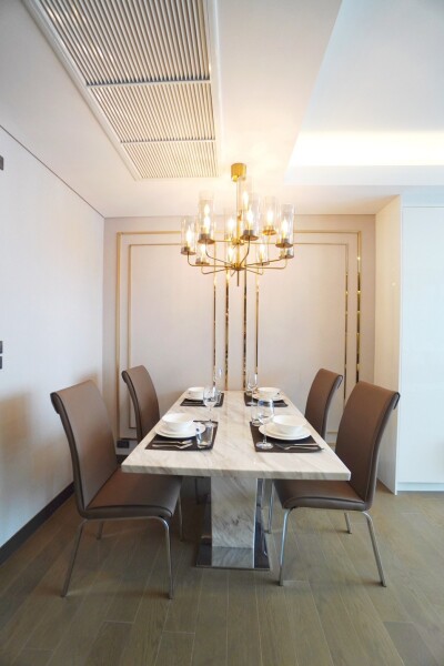 ไซมิส เอ๊กซ์คลูซีพ ควีนส์ / Siamese Exclusive Queens