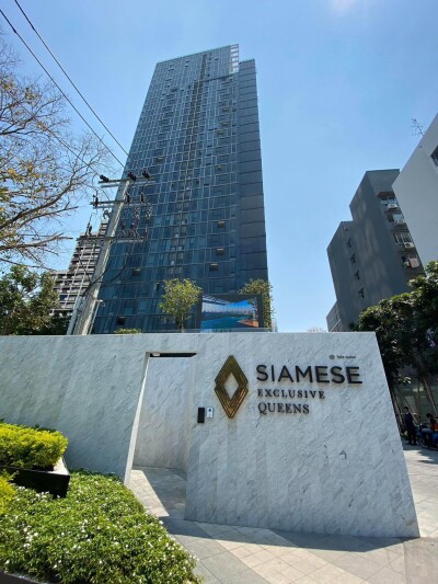 ไซมิส เอ๊กซ์คลูซีพ ควีนส์ / Siamese Exclusive Queens