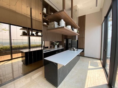 ไซมิส เอ๊กซ์คลูซีพ ควีนส์ / Siamese Exclusive Queens