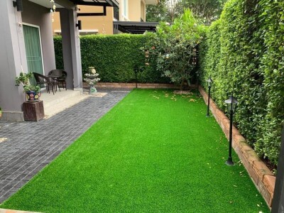 เดอะ แพลนท์ ปิ่นเกล้า - กาญจนาฯ