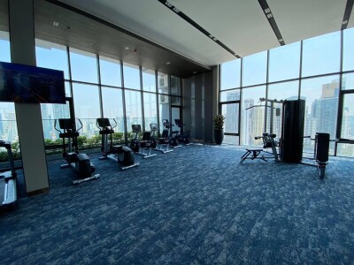 ไซมิส เอ๊กซ์คลูซีพ ควีนส์ / Siamese Exclusive Queens