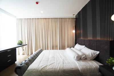 ไซมิส เอ๊กซ์คลูซีพ ควีนส์ / Siamese Exclusive Queens