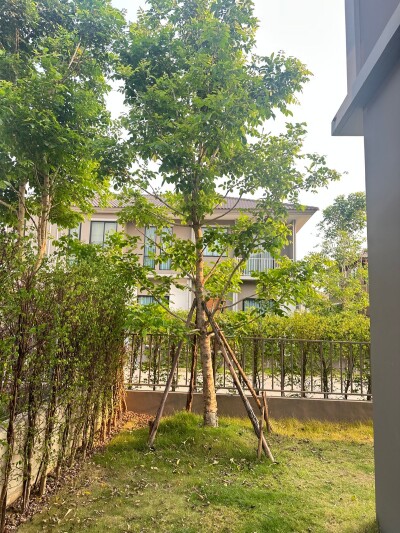 ไซมิส โฮล์ม พหลฯ - วิภาวดี / บ้านเดี่ยว 2 ชั้น  4 ห้องนอน  5 ห้องน้ำ