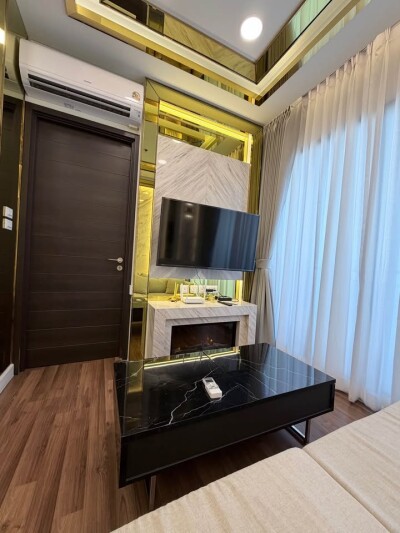 ไอวี่ แอมพิโอ / Ivy Ampio