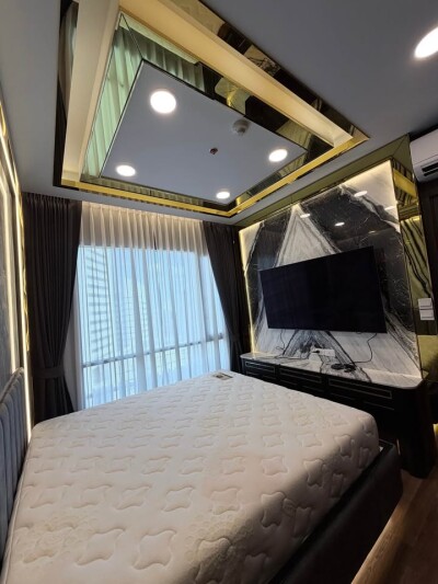 ไอวี่ แอมพิโอ / Ivy Ampio