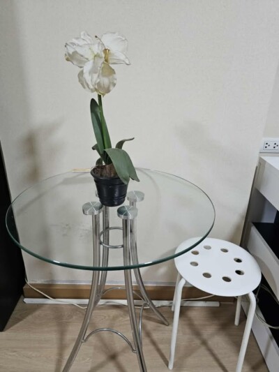 ซิตี้ โฮม รัตนาธิเบศร์ / City Home Rattanathibet-9