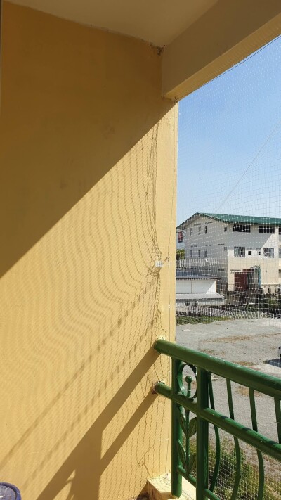 เดอะ พาร์คแลนด์ บางนา / The Parkland Bangna-6