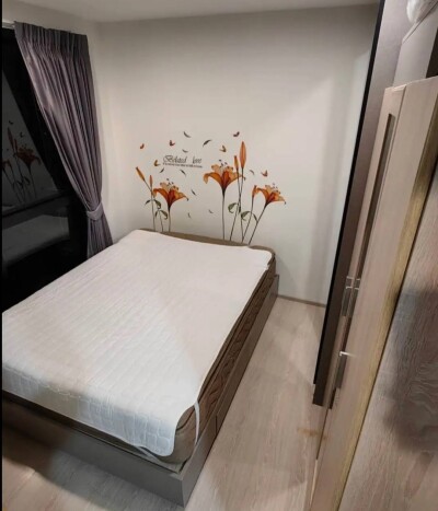 ดิ เอ็กซ์เซล กรูฟ ลาซาล 52 / The Excel Groove Lasalle 52-3