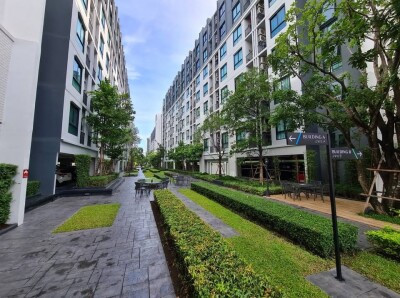 น็อตติ้ง ฮิลล์ สุขุมวิท 105 / Notting Hill Sukhumvit 105-14