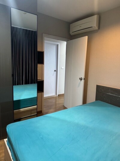 เดอะ ทรี อินเตอร์เชนจ์ / The Tree Interchange