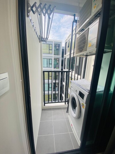 เคฟ ซีด เกษตร / Kave Seed Kaset-9