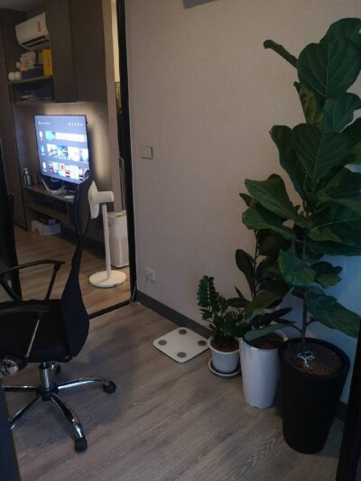 เคนซิงตัน สุขุมวิท - เทพารักษ์ / Kensington Sukhumvit - Theparak