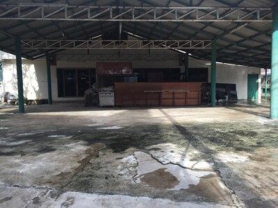 ขายบ้านเดี่ยว หมู่บ้านปทุมทอง 212 ตรว. เลขที่ 18/ 1 / เนื้อที่ตัวบ้าน 60ตรว. 4 ห้องนอน-5