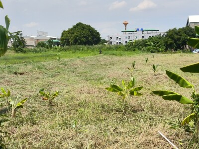 ให้เช่าที่ดิน 4 ไร่ ถนนบางนา-ตราด กม.14 เข้าซอยประมาณ 100 เมตร-2