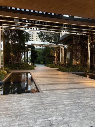 วิสซ์ดอม เดอะ ฟอเรสเทียส์ / Whizdom The Forestias-14