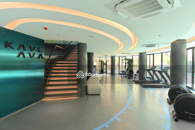 เคฟ เอวา / Kave Ava