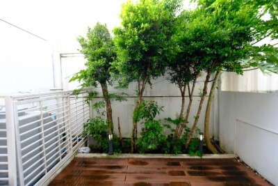 เดอะ แลนด์มาร์ค เอกมัย - รามอินทรา-16